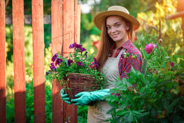 屋外ペチュニアの花のポットと幸せな花屋の庭師の肖像画 園芸と花栽培 家庭菜園で成長する花 — ストック写真