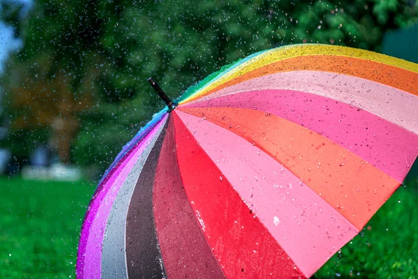 Paraguas Arco Iris Brillante Una Hierba Durante Lluvia Verano — Foto de Stock