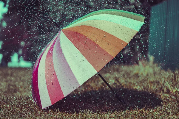 Paraguas Color Brillante Del Arco Iris Una Hierba Durante Lluvia — Foto de Stock