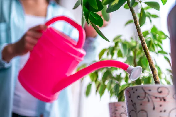 Vrouw Die Huisplanten Water Geeft Met Een Gieter Bloemen Verzorging — Stockfoto