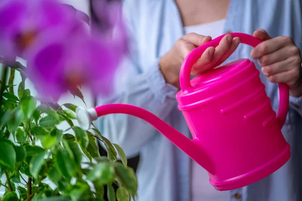 Vrouw Die Huisplanten Water Geeft Met Een Gieter Bloemen Geven — Stockfoto