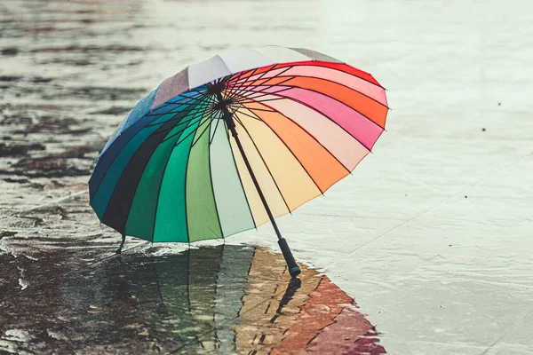 Rainbow Umbrella Wet Asphalt Cold Weather Autumn Rainy Day Fall — Foto de Stock