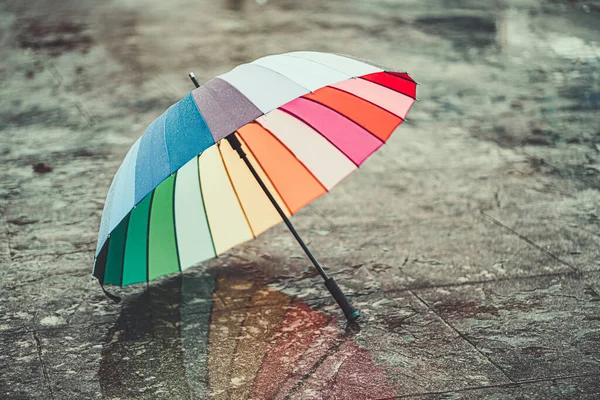 Rainbow Umbrella Wet Asphalt Cold Weather Autumn Rainy Day Fall — Foto de Stock