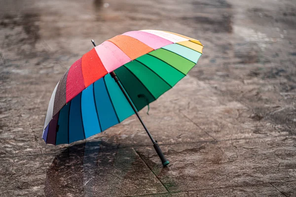Rainbow Umbrella Wet Asphalt Cold Weather Autumn Rainy Day Fall — Foto de Stock