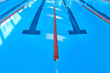 Yarışma yüzme sporları bahisleri