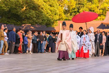 Tokyo, Japonya - 10 Ekim 2019: Geleneksel Japon düğününde rahipler eboshi şapkaları takıyor ve genç Miko bakireleri Meiji-Jingu Tapınağı 'nda kimono giyiyorlar..