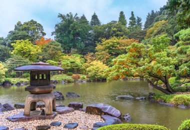 Tokyo, Japonya - 29 Ekim 2020: KyuFurukawa Parkı 'nda mimar Ogawa Jihei tarafından tasarlanan Japon bahçesinin kenarındaki Yukimi taşından bir fenerin altında sonbahar yağmurundan korunan kedi barınağı.
