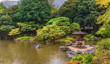 Tokyo, Japonya - 29 Ekim 2020: KyuFurukawa Parkı 'nda mimar Ogawa Jihei tarafından tasarlanan Japon bahçesinin kenarındaki Yukimi taşından bir fenerin altında sonbahar yağmurundan korunan kedi barınağı.