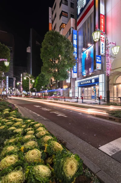 Ikebukuro Japan December 2020 Night View Sidewalk Sunshine Street East — Stock Photo, Image