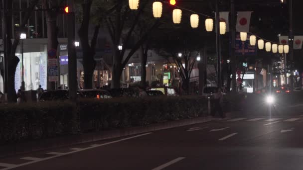 Tokyo Japan November 2020 Footage Cars Driving Omotesando Avenue Called — Stock Video