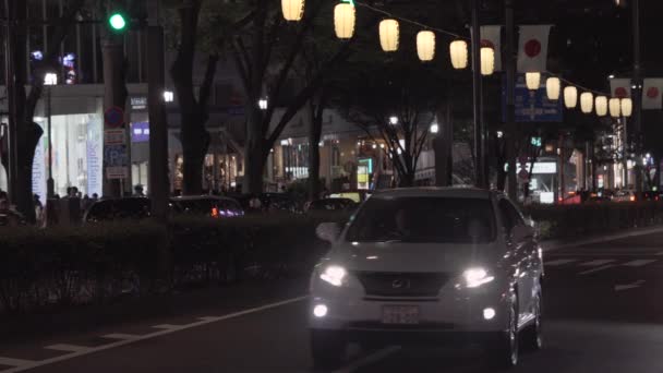 Tokyo Japón Noviembre 2020 Clip Tráfico Automóviles Avenida Omotesando Llamado — Vídeo de stock