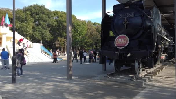 2019年11月5日 日本东京 潘在日本青山公园的操场广场上 为日本儿童留下了一辆古老的蒸汽机车作为游乐区的录像 — 图库视频影像