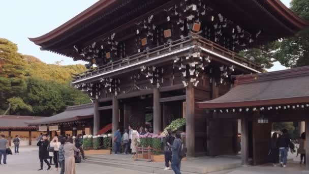 Сибуя Япония Ноябрь 2019 Видео Толпы Туристов Наслаждающихся Цветами Хризантемы — стоковое видео