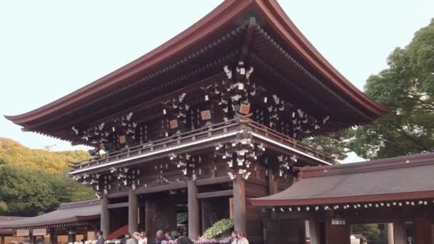 日本石谷 2019年11月2日 观光客观看美智静神殿内两层大殿前的菊花布置的视频 — 图库视频影像