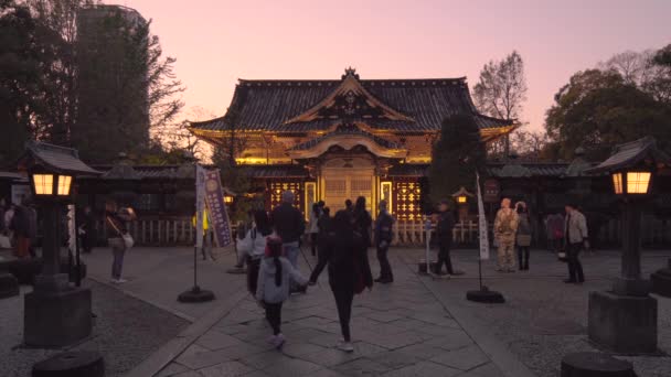 Tokyo Japonsko Listopad 2019 Video Dřevěných Luceren Svítících Podél Stezky — Stock video