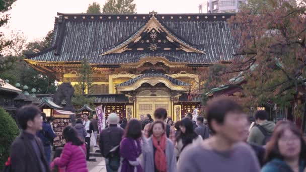 Tokio Japonia Listopad 2019 Wideo Bliska Złote Folie Pokryte Przybytkiem — Wideo stockowe