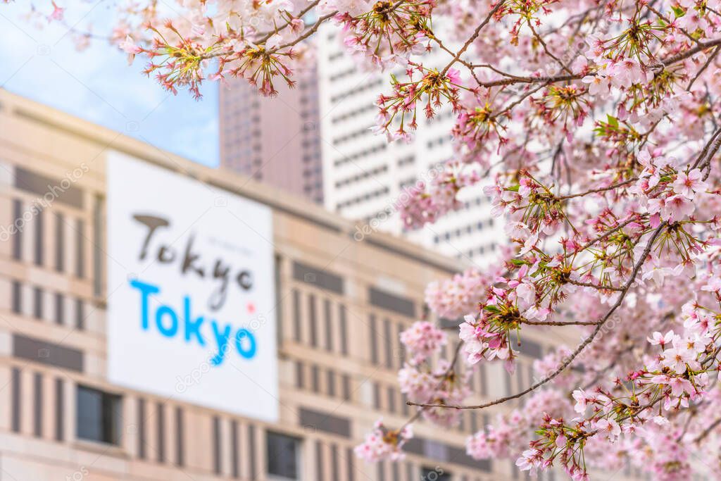 tokyo, japan - march 25 2021: Pink cherry blossoms in bloom against an advertising poster promoting the city of Tokyo at Tokyo Metropolitan Government Building during spring.