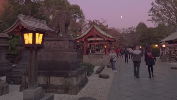 Tokio Japonia Listopad 2020 Wideo Japońską Latarnią Oświetlającą Komainu Lwy — Wideo stockowe
