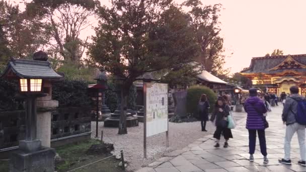 Tokyo Japon Novembre 2019 Vidéo Panoramique Touristes Marchant Sur Chemin — Video