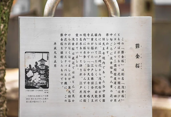 Tokyo Japon Avril 2021 Information Panneau Dans Cimetière Yanaka Sur — Photo