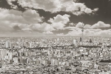 Tokyo 'nun siyah ve beyaz panoramik şehirleri Japonya' nın en yüksek gökdelenleri tarafından gözden kaçırılır..