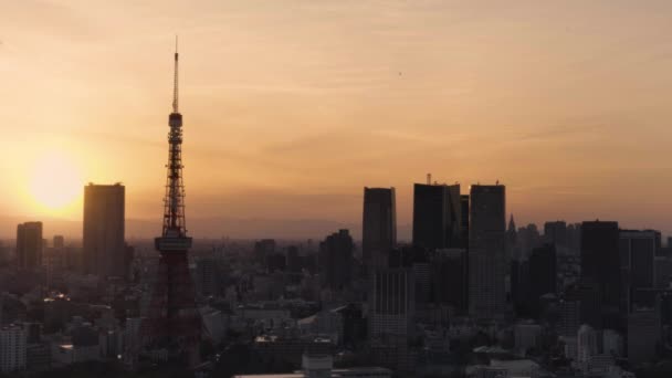 Tokyo Giappone Maggio 2021 Video Paesaggio Urbano Raffigurante Torre Tokyo — Video Stock