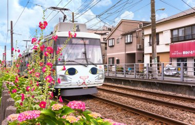 Tokyo, Japonya - Haziran 03 2018: Tokyo Setagaya Hattı 'ndaki Gotokuji treninden düz yetişen Japon manekineko şanslı kedisi.