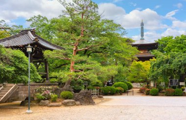 Tokyo, Japonya - 5 Haziran 2021: Japon kısa çan kulesi ve üç katlı Budist ahşap pagoda gotik zen tapınağının iç bahçesinde Manekineko kedisinin doğduğu yer olarak bilinir..