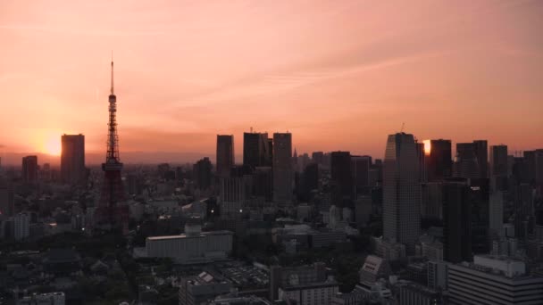 Токио Япония Июня 2021 Статическое Видео Изображающее Городской Пейзаж Токийской — стоковое видео