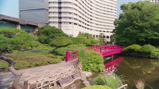 Tokyo Japon Juillet 2021 Vidéo Panoramique Grand Angle Pont Traditionnel — Video