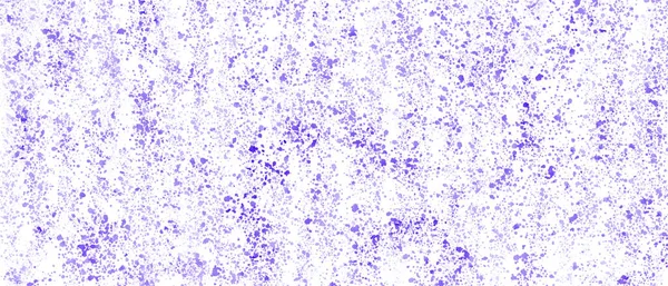 Beyaz arkaplanda mor su rengi