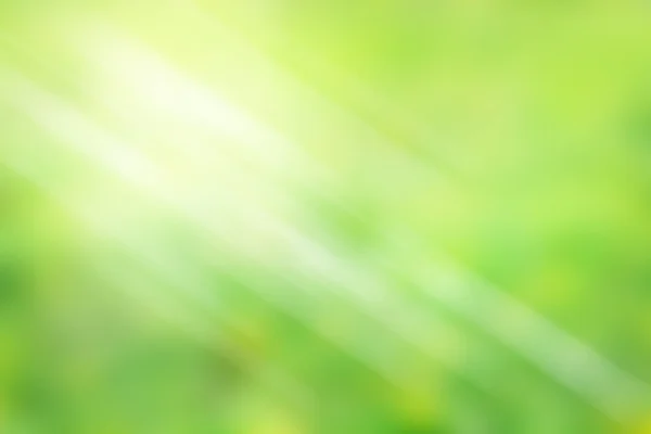उज्ज्वल हिरव्या पार्श्वभूमीवर गुलाबी लॉटसचे फोटो — स्टॉक फोटो, इमेज