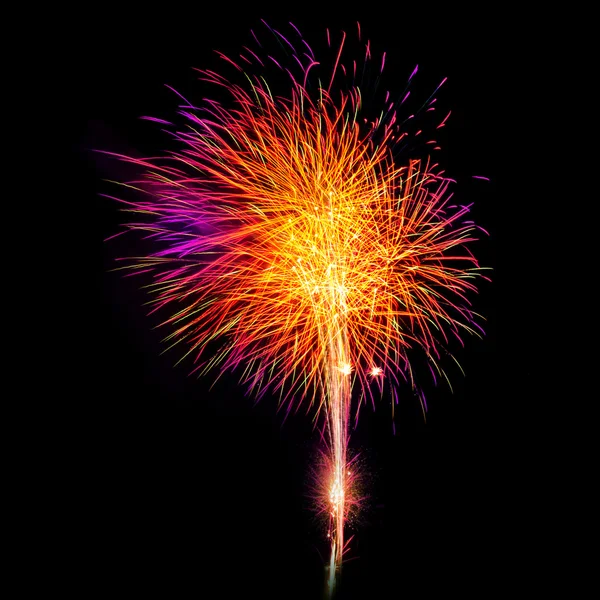 Photo of New Year celebration fireworks — Stock Photo, Image