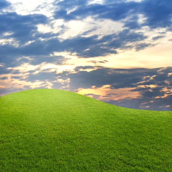 Grönt gräs med solnedgång himlen — Stockfoto