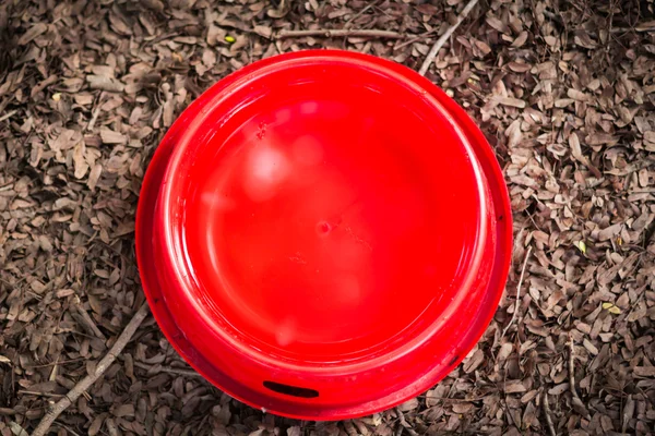 Rote Wasserschale für den Hund, auf trockenem Laub aufsetzen. — Stockfoto