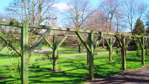 Ξύλινη Κατασκευή Για Αναρριχητικά Φυτά Memorial Park Στο Willenhall Ηνωμένο — Αρχείο Βίντεο