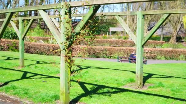 Holzkonstruktion Für Wildrosen Schlingpflanzen Der Memorial Park Willenhall Großbritannien — Stockvideo