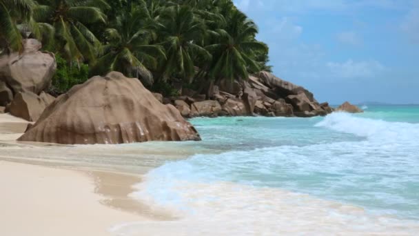 Plage aux Seychelles — Video