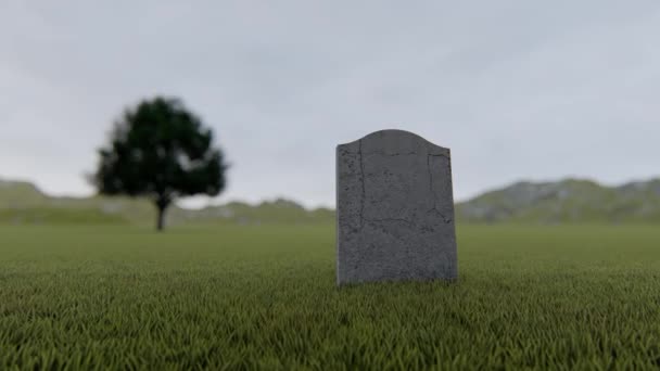 Een Enkele Lege Grafsteen Een Mistige Weide — Stockvideo