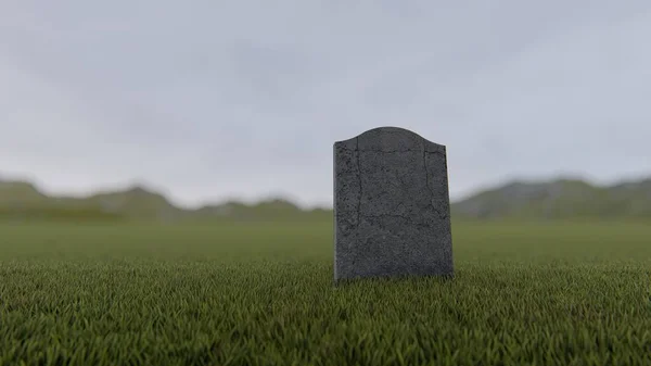 Single Blank Tombstone Foggy Meadow Rendering — Stock Photo, Image