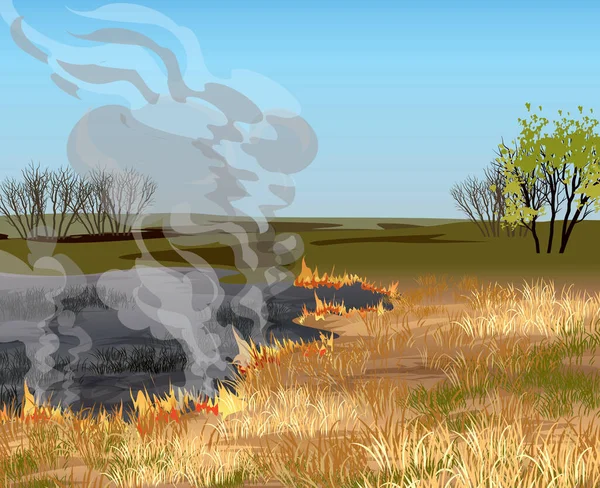 Feuer auf dem Feld. Trockenes Gras Feld in Feuer Vektor Illustration. — Stockvektor