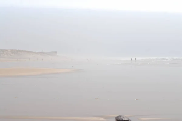 Arcachon Seaside Resort Town Southwest France Known Oyster Harvesting Landscape — Stock Photo, Image