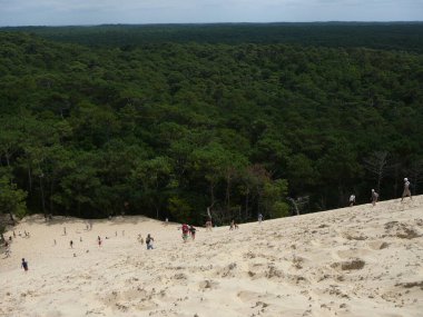 Pilat Kumulu (ayrıca Grande Dune du Pilat olarak da bilinir), Avrupa 'nın en uzun kum tepesidir. La Teste-de-Buch, Fransa 'nın Arcachon Körfezi bölgesinde Bordeaux' nun 60 km güneybatısında yer almaktadır. Pilat Kumulu ünlü bir turizm merkezidir..