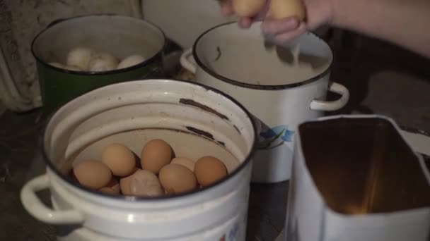 Mains féminines triant les œufs, pas d'aliments génétiquement modifiés, produits biologiques, œufs de poulet faits maison, incubateur — Video