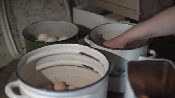 鶏小屋の女性は卵を分類します。,非GMO,有機製品,自家製鶏の卵 — ストック動画