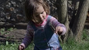 Güzel bir kız karahindiba ile oynuyor, ılık bir yaz, çocuk yürüyüşleri. yavaş çekim