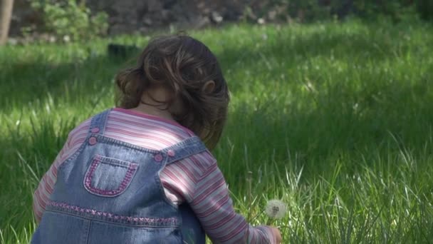 Prachtig kind spelen met een paardebloem, warme zomer, kind wandelingen. slow motion — Stockvideo