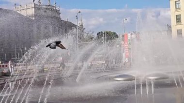 Hareketli bir şehir meydanının parıldayan su jetleri arasında bir kuş gibi süzülürken huzurlu bir an yaşanıyor.