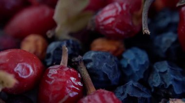Çeşitli mevsimlik meyve tabakları, renkli kurutulmuş ve dokulu arkaplanlı taze böğürtlenler, dokulu yüzeylere karşı sunulan canlı, kuru ve taze meyveler.