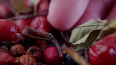 Doğal bitki örtüsü, doğal toprak renk paleti, kurumuş yabani böğürtlen koleksiyonu ve doğal toprak gölgelerinden esinlenilmiş botanik parçalar sergiliyor. 4k